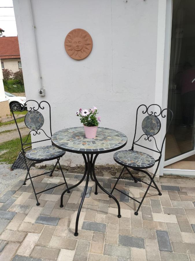 Ferienhaus Blaue Blume Mit 11 Kw Ladestation, Kamin, Terrasse, Eingezaeuntem Garten, Sauna, Wlan, Netflix, 2 Hunde Willkommen! Güntersberge Exterior foto