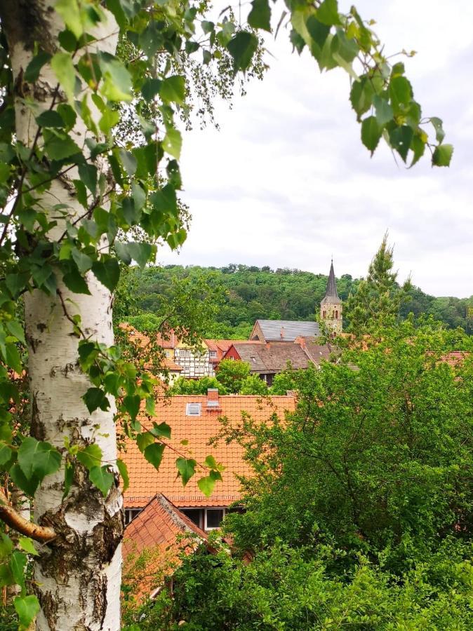 Ferienhaus Blaue Blume Mit 11 Kw Ladestation, Kamin, Terrasse, Eingezaeuntem Garten, Sauna, Wlan, Netflix, 2 Hunde Willkommen! Güntersberge Exterior foto