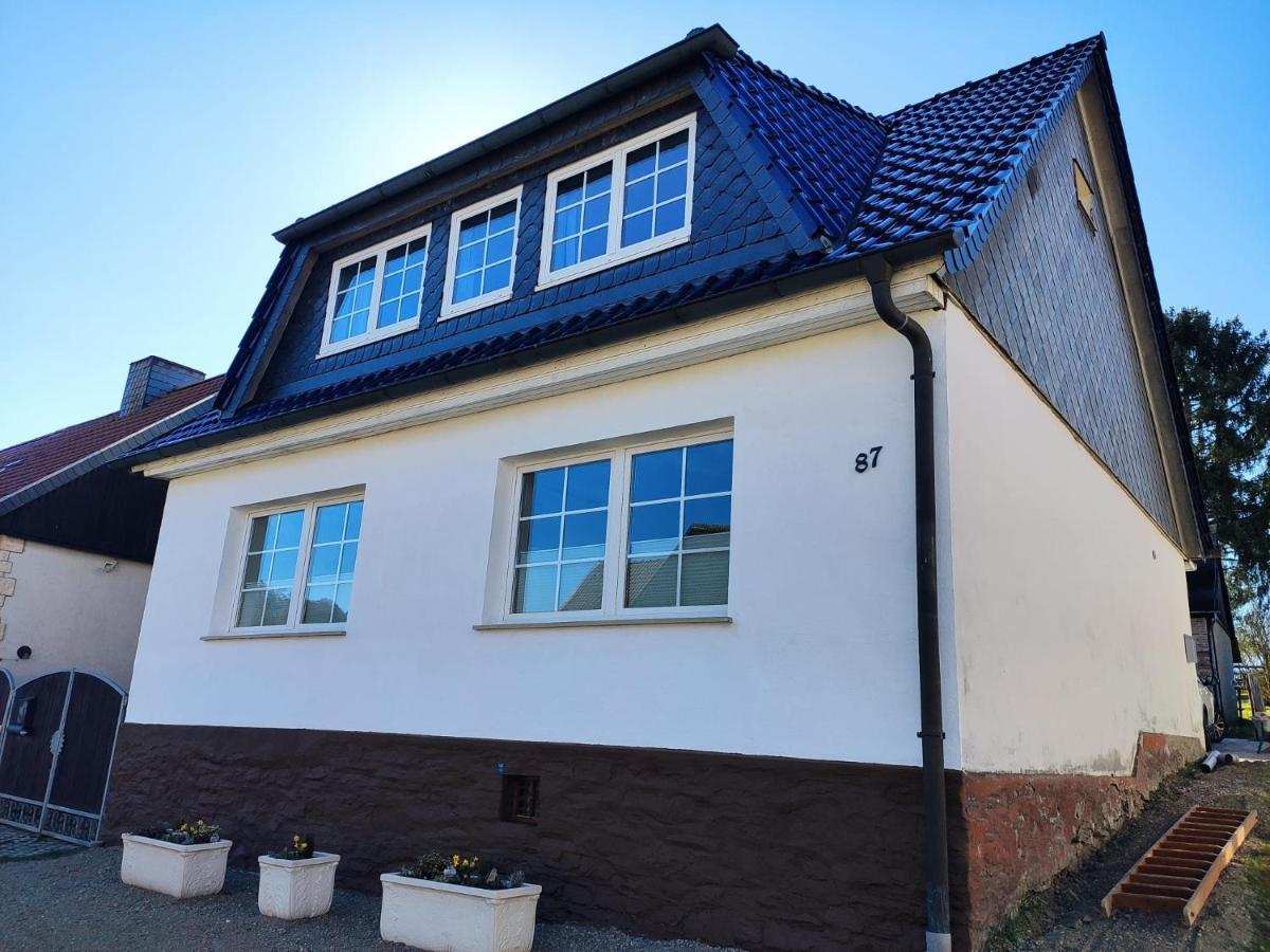 Ferienhaus Blaue Blume Mit 11 Kw Ladestation, Kamin, Terrasse, Eingezaeuntem Garten, Sauna, Wlan, Netflix, 2 Hunde Willkommen! Güntersberge Exterior foto